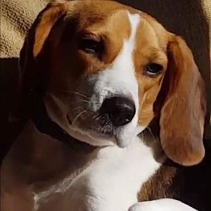 Meet your Posher, Dat